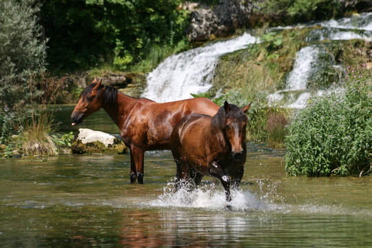 Bain sous la cascade