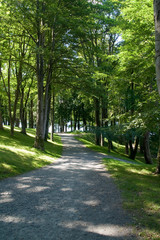 Path in the park