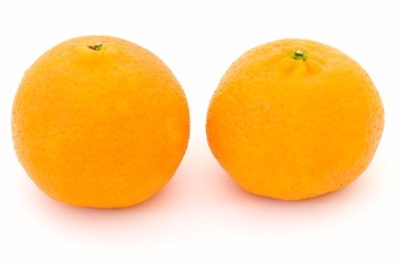 Two big tangerines