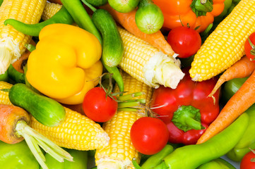 Various vegetables isolated on the white background