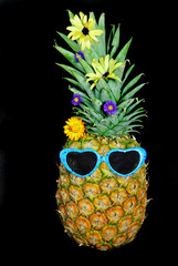 Pineapple Fun