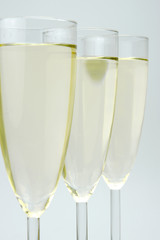 Sparkling Wine