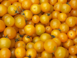 petites tomates jaunes