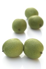walnut