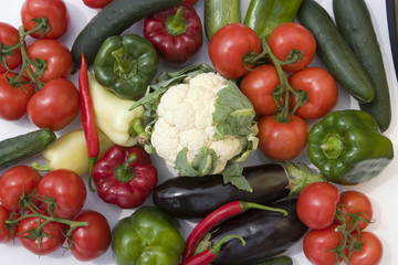 Vegetables lineup on white background