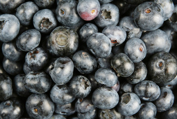 Blaubeeren