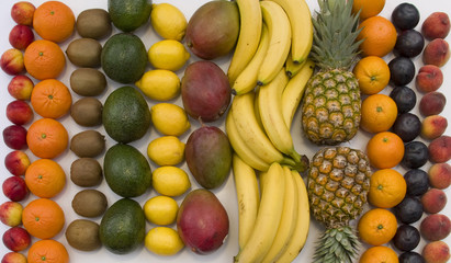 Tropical fruit lineup on white background