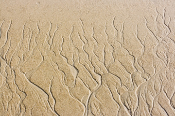 Sandy wave after outflow