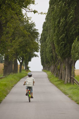 Fototapeta premium boy bicycling up tree lined road