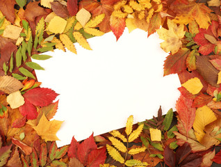 Colorful autumn frame