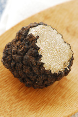 Tartufo scorzone