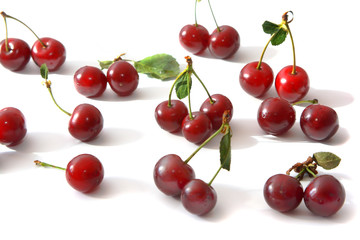 Obraz na płótnie Canvas Berries of a cherry