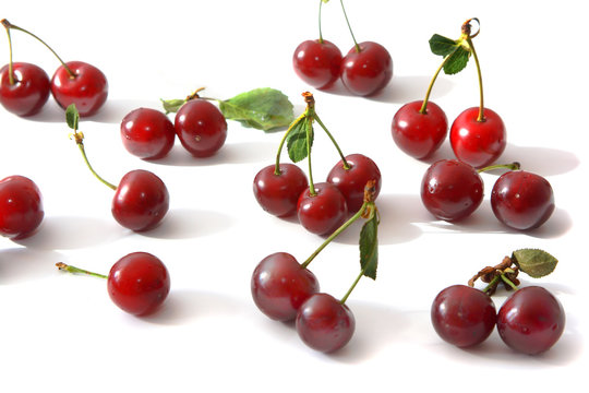 Berries of a cherry