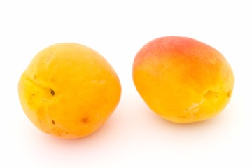Two big apricots