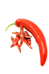 fresh and dry hot pepper