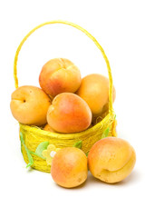 Fresh apricots