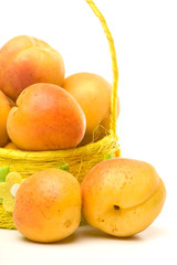 Fresh apricots