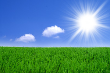 Obraz premium Wolken, Sonne und Wiese