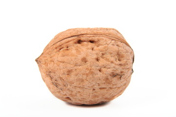 walnut isolated on white background