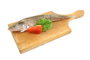 fish