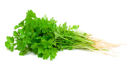 parsley