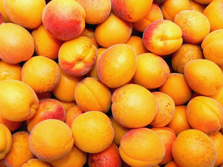 apricots