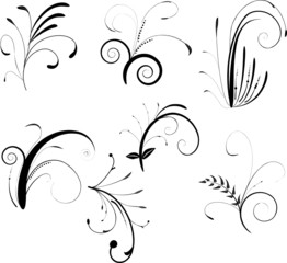 set of swirly design elements