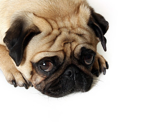 Sad Eyes