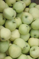 apples pearmains
