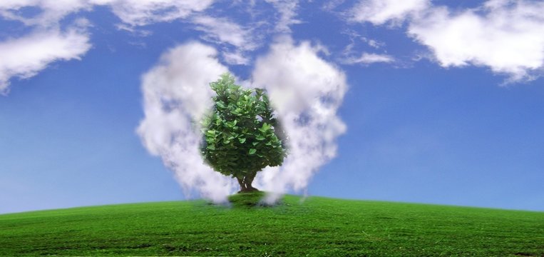 &eacute;cologie.
