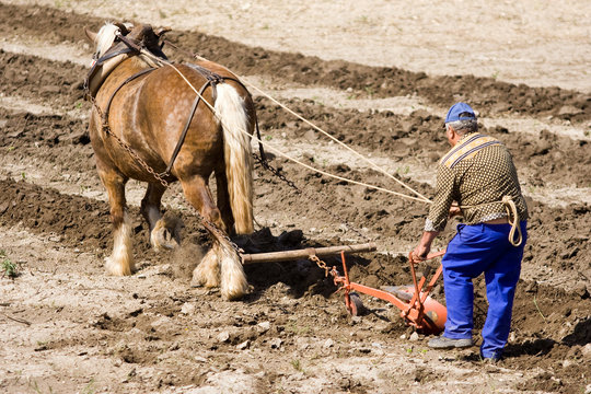 Agriculture et m&eacute;tier : paysan et cheval de trait au labours
