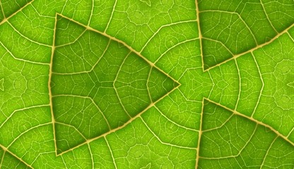 Underside Of Green Leaf Seamless Tile Background 9