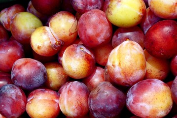 pretty lila and yellow greengages