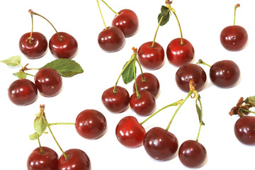 Berries of a cherry