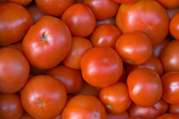 Fresh red juicy market tomatoes