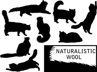 Set of detailed cat's silhouettes - 8721127