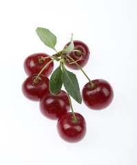Isolated Cherries