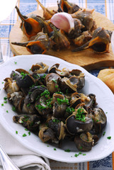 Garusoli - Antipasto Veneto