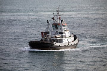 Tug Boat