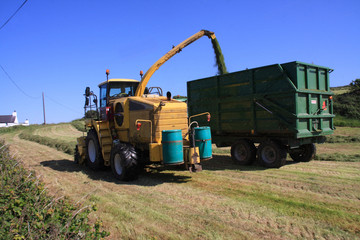Collecting the Silage in a field on Angelsey