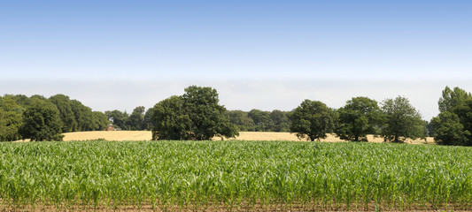 farmland