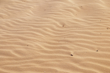 Sand dunes texture