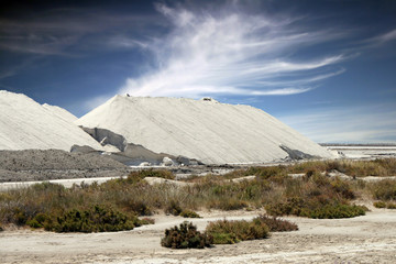 salins de giraud