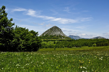Mt Gerbier de Jonc