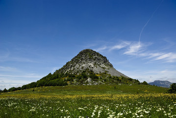 Mt Gerbier de Jonc