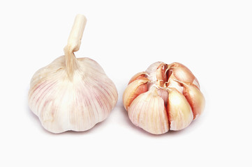 Garlic