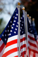 American Flag Display for Holiday