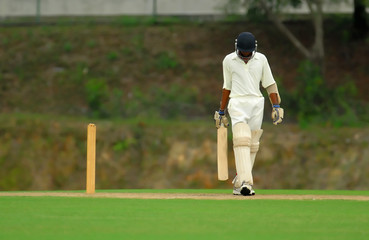 Stock Photo of batsman