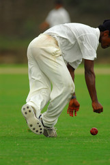 Obraz premium Catching a ball