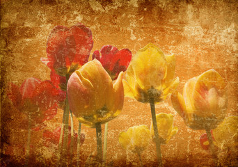 Photo of a tulips on a grunge background
